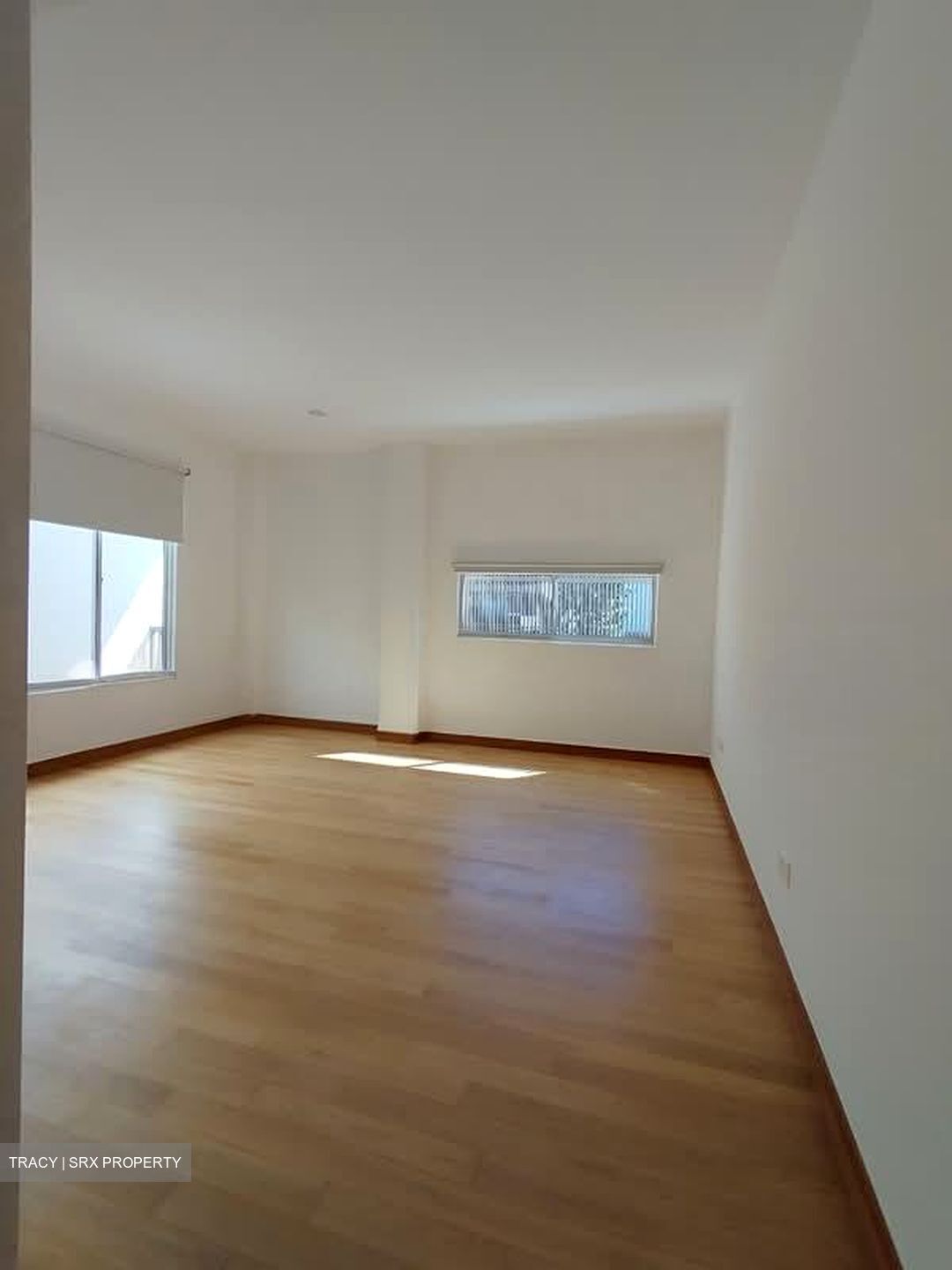 Mount Sinai (D10), Semi-Detached #554242821